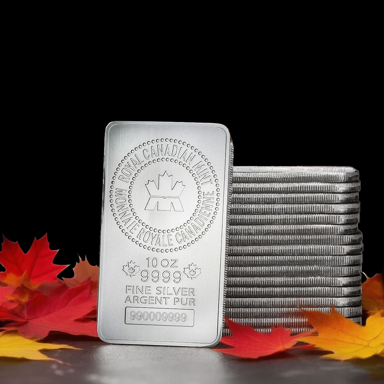 Royal Canadian Mint 10 oz Silver Bar